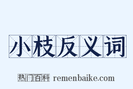 小枝反义词是什么意思的图片